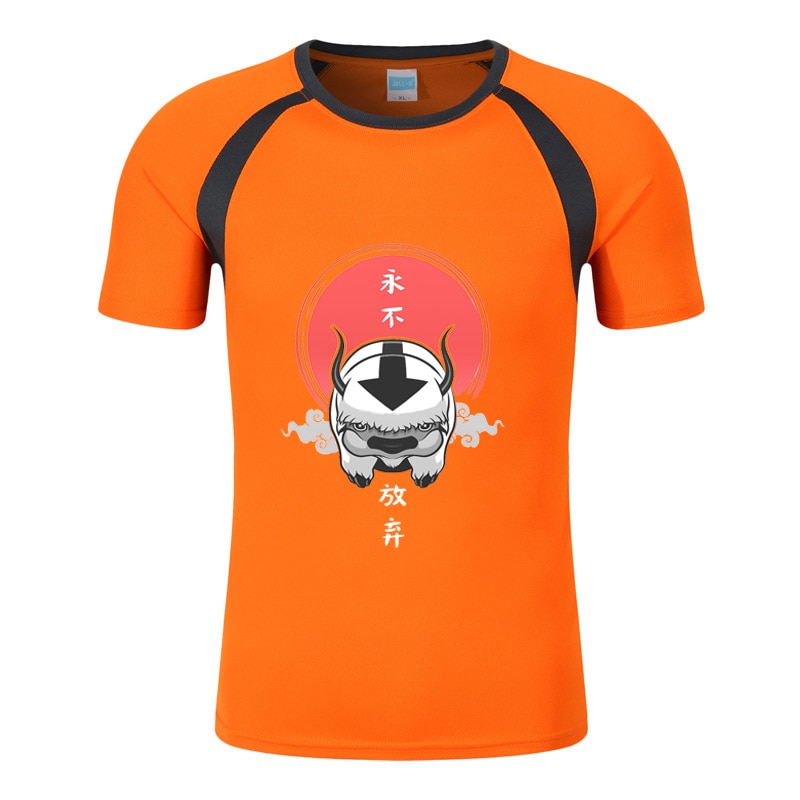 Avatar The Last Airbender Printed Men New Summer Fashion Solid Color Block Round Neck Short Raglan Sleeve T-Shirt Sports Top